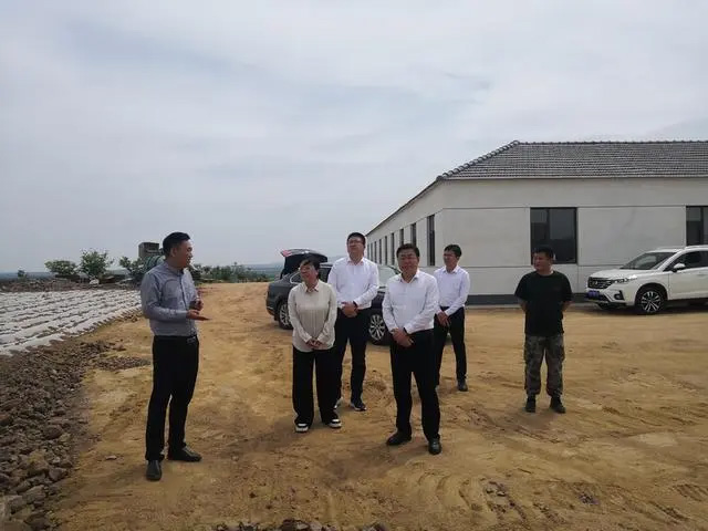 安丘市委书记贾勤清带队赴榴莲视频污在线观看调研